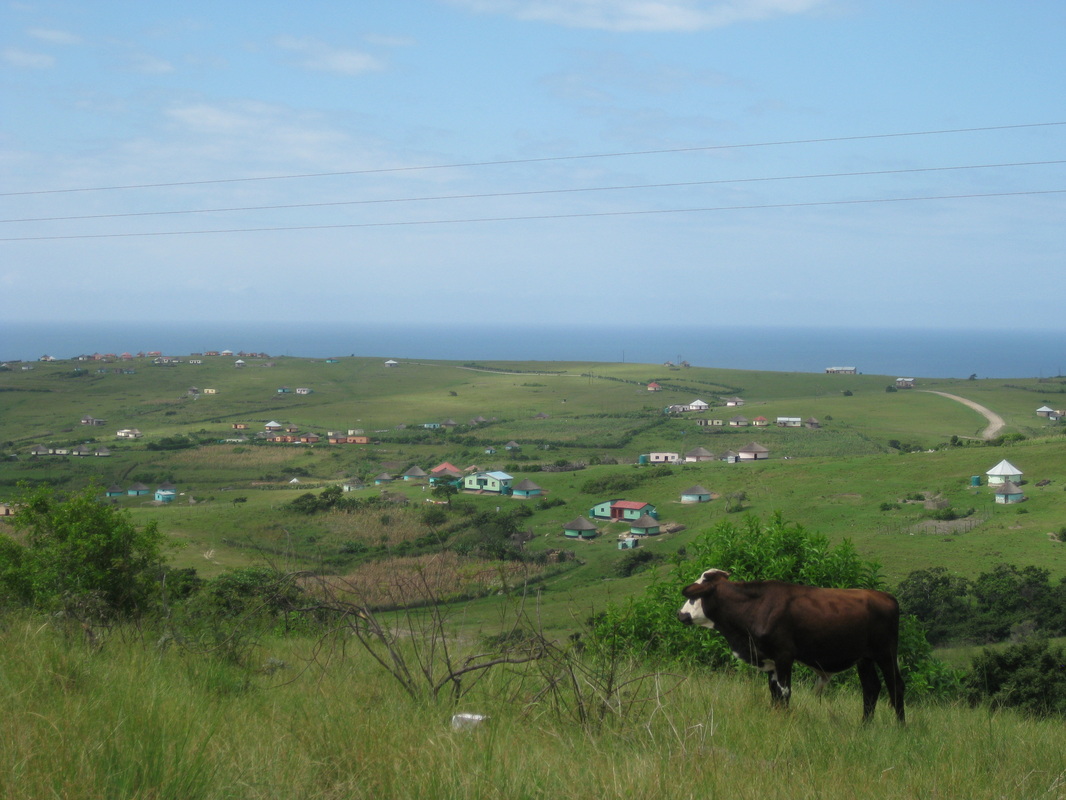 Cows, rolling hills, colorful homes on farms, the ocean, and a beautiful day.  What else could I want?